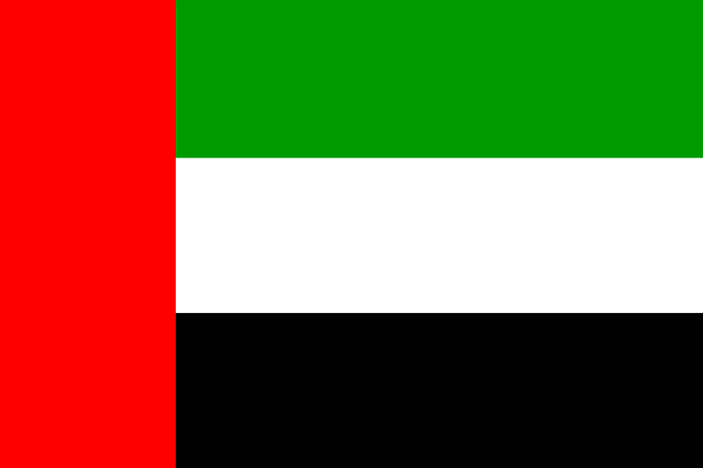 Dubai (UAE) Flag